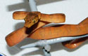 Amazon Tree Boa