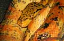 ATB, amazon tree boa