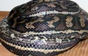 Coastal Carpet Python, femelle