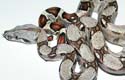 Boa constrictor imperator
